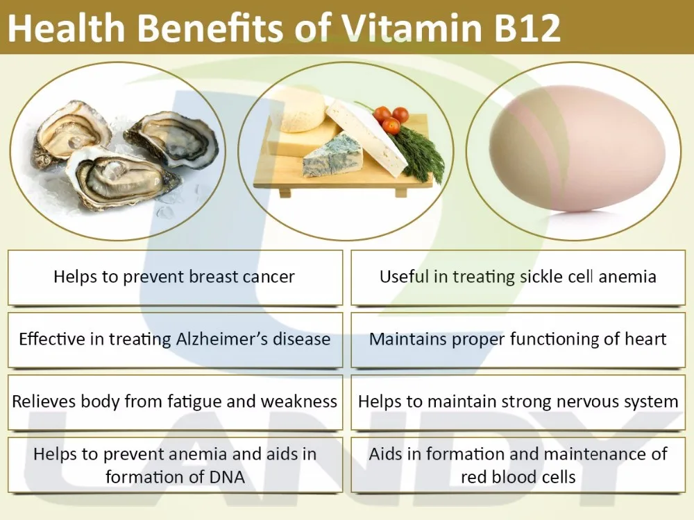 Optimum Nutrition Vitamin B Complex Tablet B6 And B12 Methylcobalamin