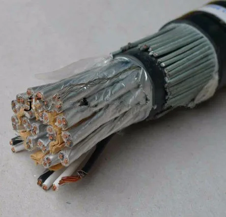 300V RE-2X(st)HSWA EN 50288-7 XLPE Insulated kvvp instrument cable - ANKUX.COM