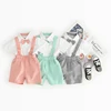 New Design Summer Colorful Short Sleeves Cotton 2 Pieces Set Baby Gentleman Suit Baby Boy Clothes