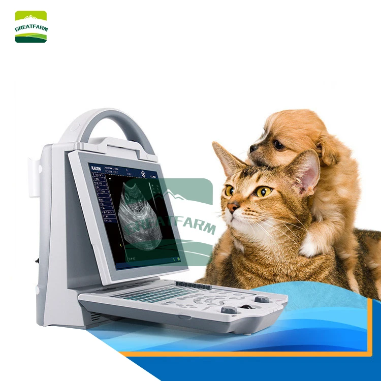 Dogs and cats special animal disease pregnancy detection equipment LED ultrasound scanner super large screen