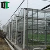 Professional sheet roll hot dip galvanized round steel pipe commercial glass greenhouse made in China