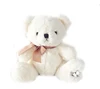 Plush Bear Promotional, Plush Bear Custom Stuffed Animal 8", Plush Big Paw Promotional Teddy Bear with Shirt