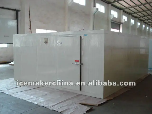 commercial cold room for fish,meat with sliding door in Zambia