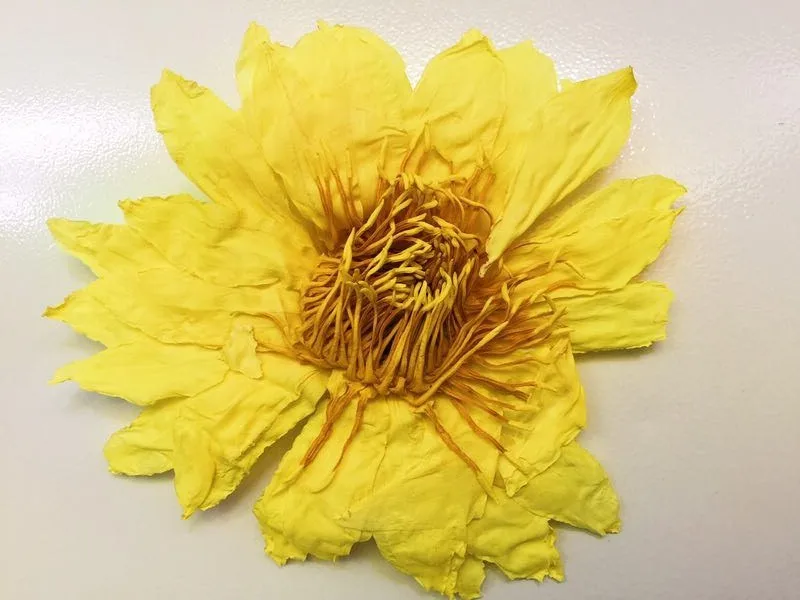 Organic flower tea perfume lotus tea blooming flower tea ball - 4uTea | 4uTea.com