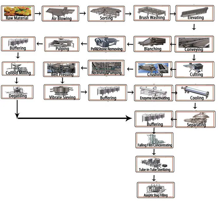 mango juice production line