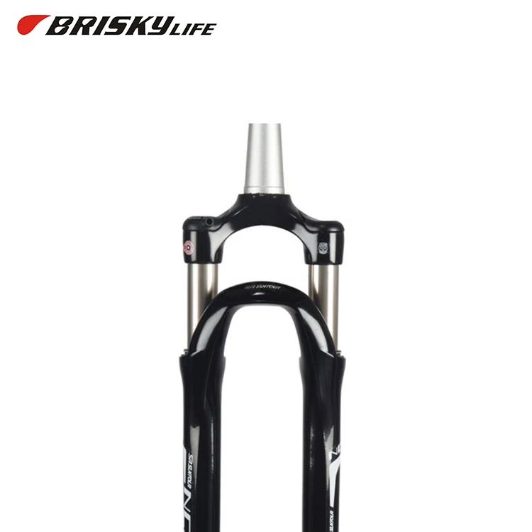 hybrid suspension fork