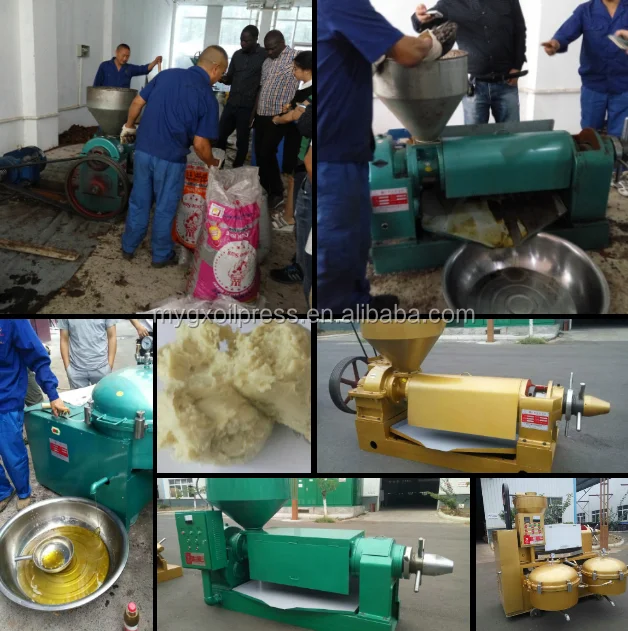 High Efficiency Cbd Oil Extract Machine/groundnut Palm Oil Processing