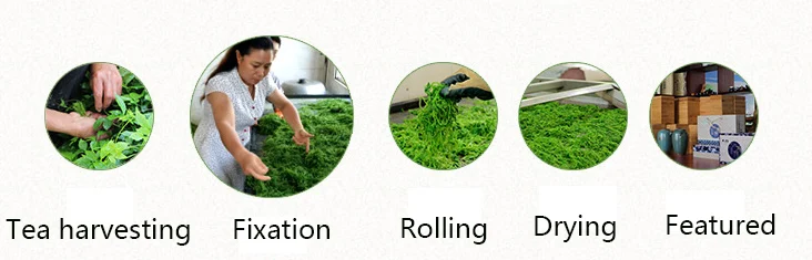 Gynostemma tea JiaoGuLan Herbal Tea Leaves - 4uTea | 4uTea.com