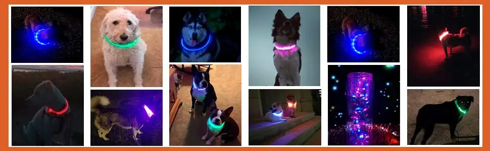 LED Dog Collar (16).jpg