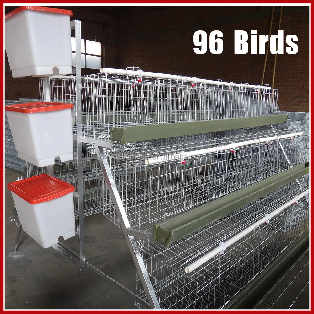 A Type 4 Tiers 128 Birds 256 Birds Hot Sale Kenya Poultry Farm