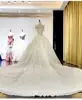 Court train Chiffon wedding dress Capped sleeve bridal gown TS88
