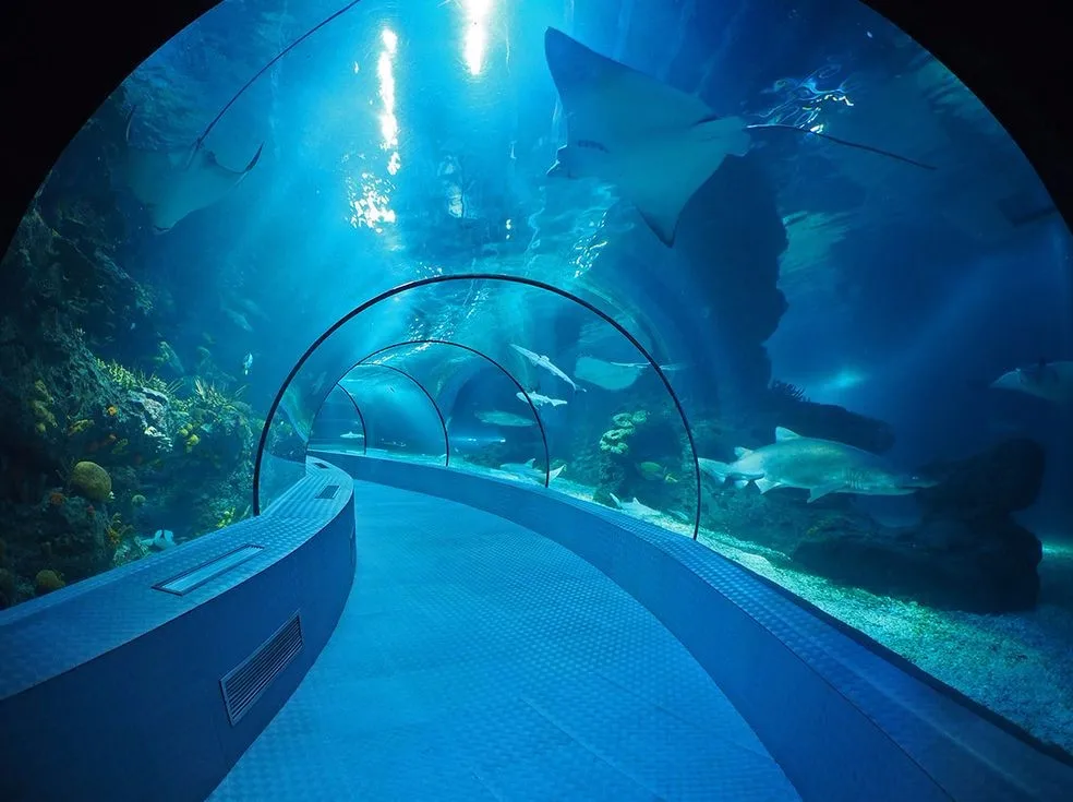 all industries  chemicals  adhesives & sealants