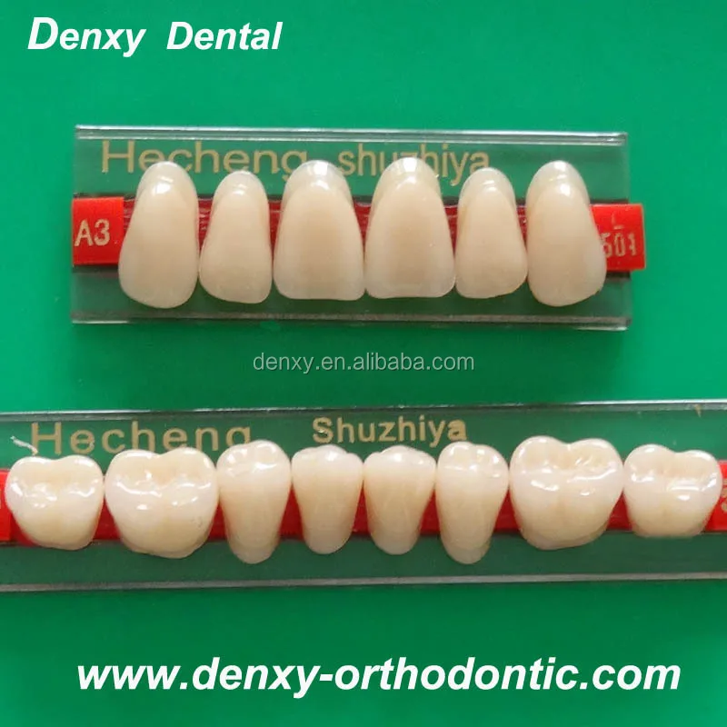Economial And Beatiful Palstic Resin Teeth Dental Artificial Teeth