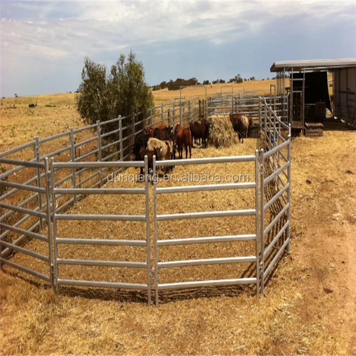 cattle panels-004.png