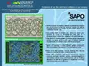 SAPO Lace Drafting Software