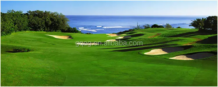 Artificial Grass Turf