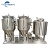 100L to 500L 3bbl Turnkey Home Mini Brewery Microbrewery Equipment For Brew Pub