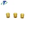 Customized Design Brass Plain Knurled Hex Nuts