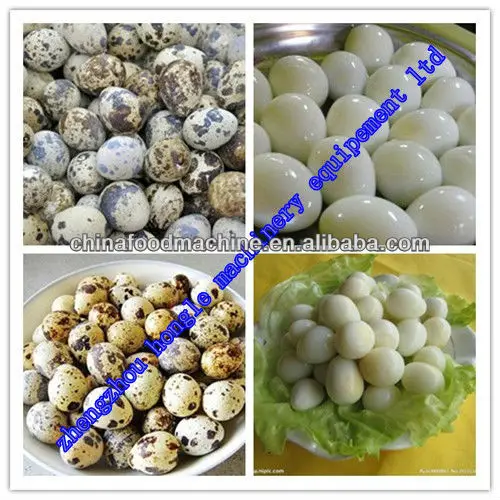quail egg peeling machine.jpg