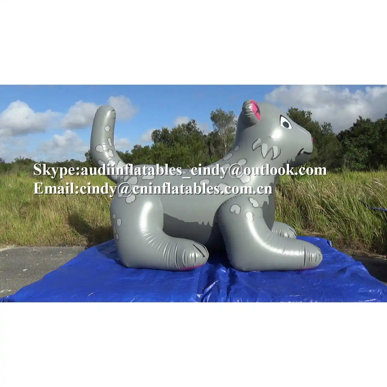 dunicorn dragon inflatable rental north jersey