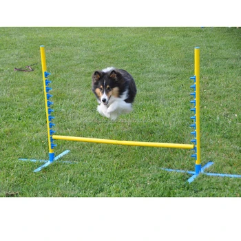 dog agility equipment