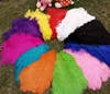 Beautiful 15-80cm Party Stage Decoration Colored Bulk Ostrich Feathers
