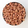 SA Blanched no shell delicious roasted groundnuts for sale