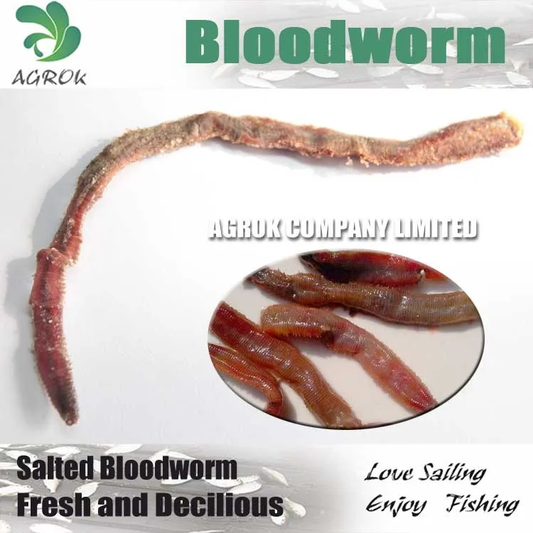 download live bloodworms for sale