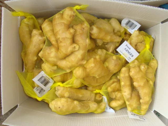 fresh ginger 1lb small packing.JPG