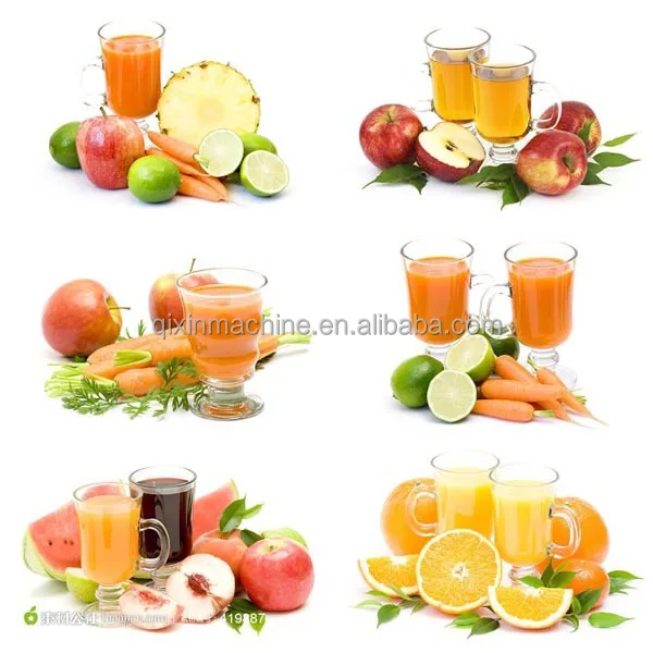 fruit and vegetable  juice extractor.jpg
