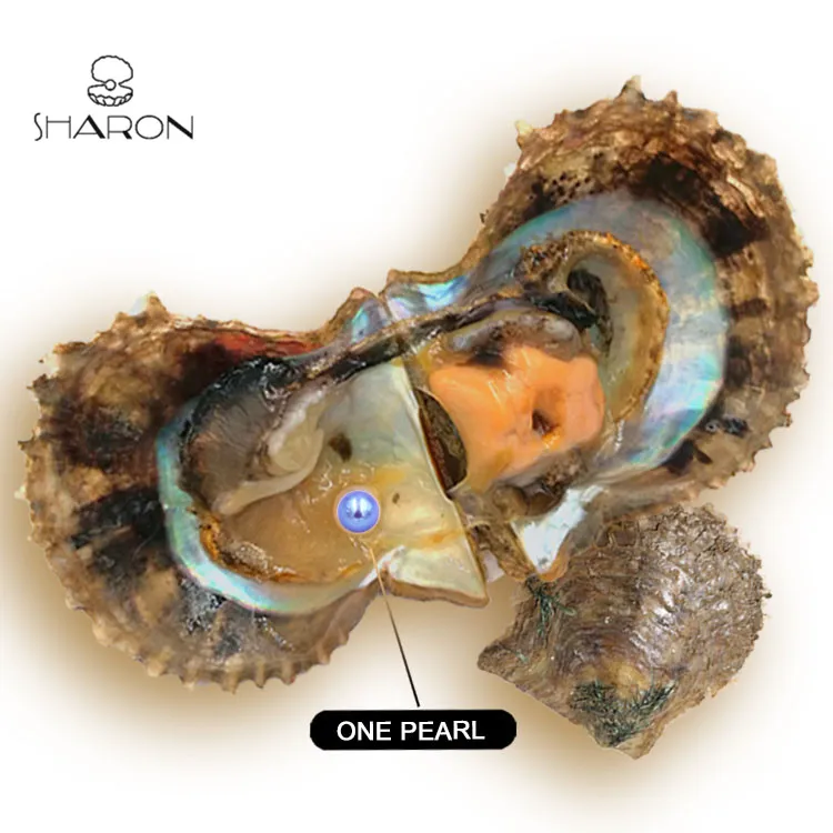 67mm Vacuumpacked Sea Blue Akoya Oyster With Natural Cultured Round