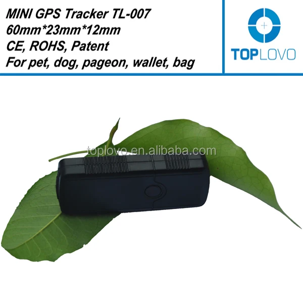 Minim Gps Tracker For Pigeon,Gps Tracker For Small Pets Buy Hidden