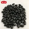 Hot Sale Black Kidney Bean Factory Direct Sale Black Kidney Bean