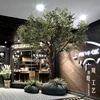 Customized Size Fiberglass Trunk Artificial Olive Trees for Landscape Decoration Plant Type