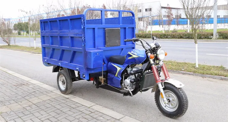 定制3 轮高性能三轮车汽油货物三轮车