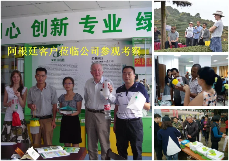 insect trap buyers.png