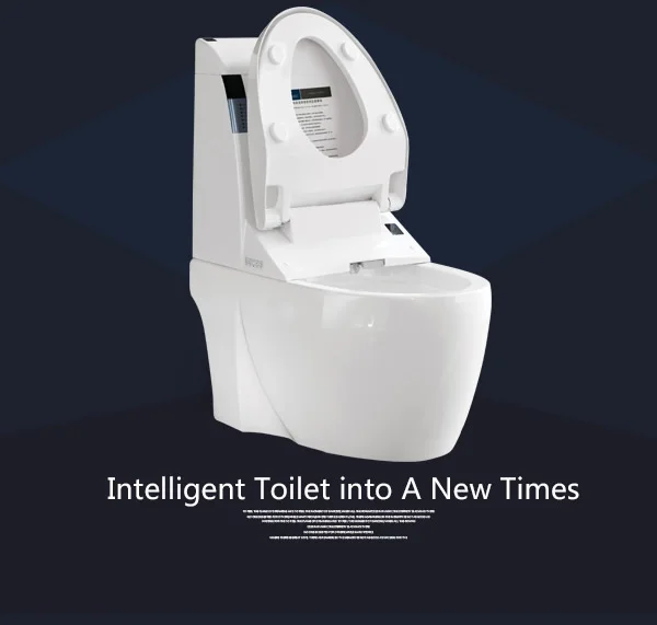 toilet smart flush