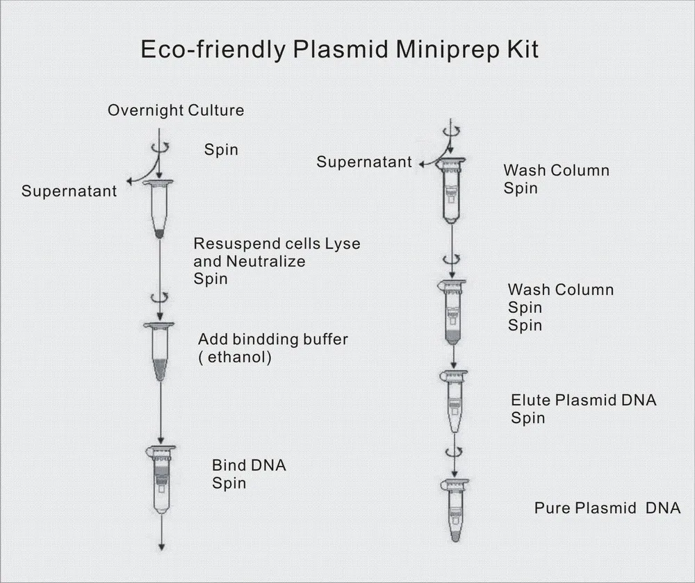 eco friendly plasmid miniprep kit spin column dna purification kit buy dna purification kit plasmid miniprep kit spin column product on alibaba com