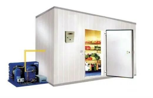 100 for ice store Cold Storage cold room