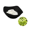 Natural rattan tea extract 98% dihydromyricetin dhm for capsules