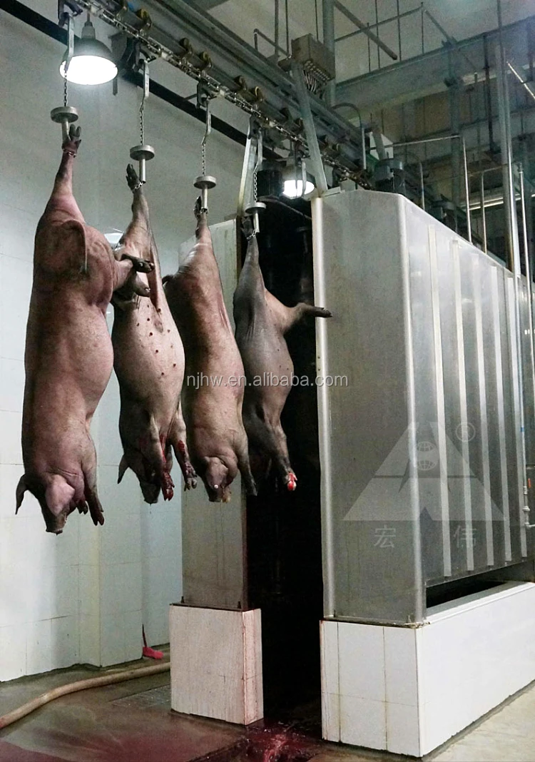 machine for pigs download free