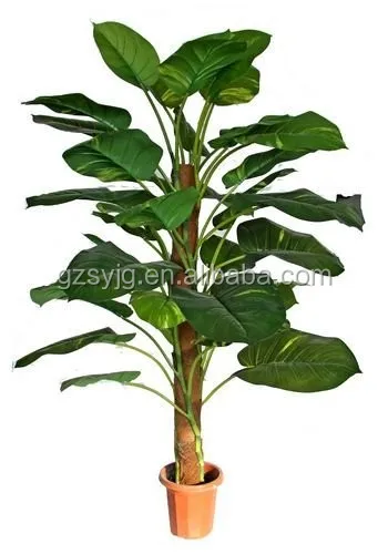 Wholesale Artificial Silk Wisteria Vine Flower - Buy Vine Flower,Artificial Vine Flower,Wisteria