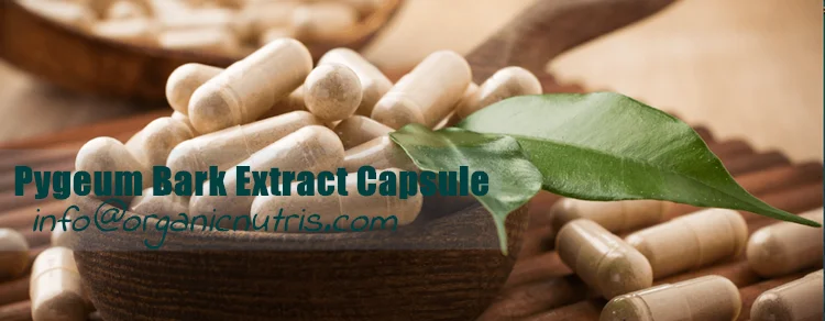 Pygeum Bark extract 