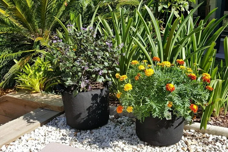 grow bag/planter