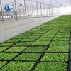 Indoor planting growing trays hydroponic multi layers grow systems