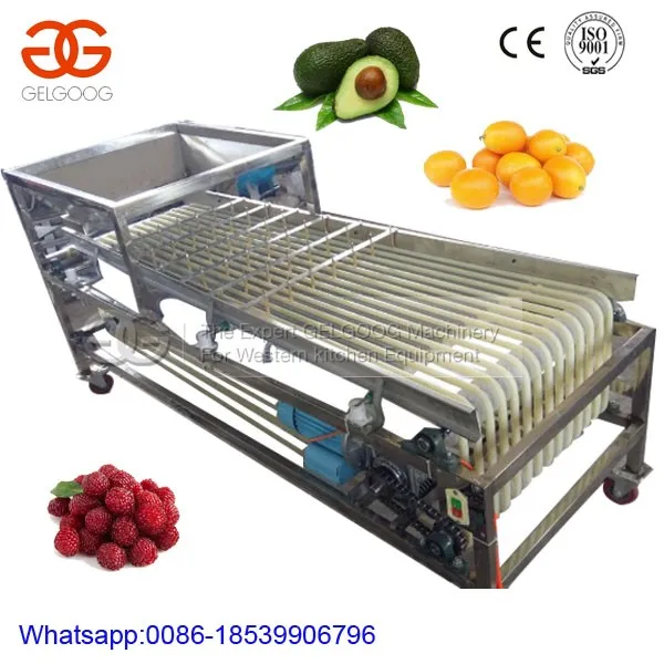 Lemon Fruit Sorting Machine Hops Sorter Price Buy Lemon Fruit Sorting