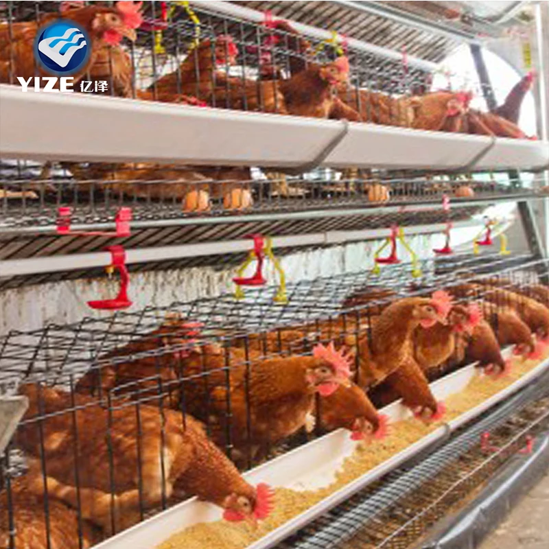 Poultry Farm Cage /broiler Cage Equipments Popular In Kenya,Uganda