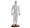 Chinese Human Acupuncture Model ,18" Man Body Model