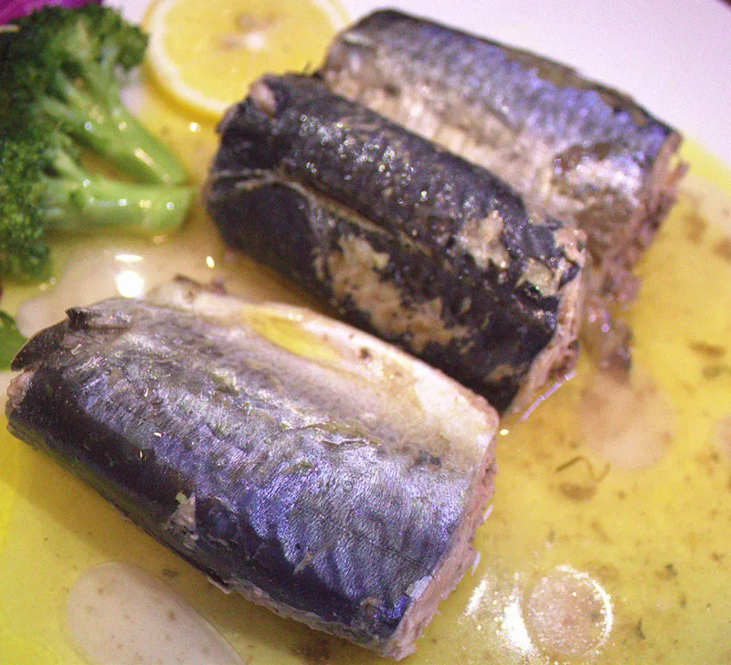 Canned Jack Mackerel In Vegetable Oil Wholesale Best Fresh Mackerel