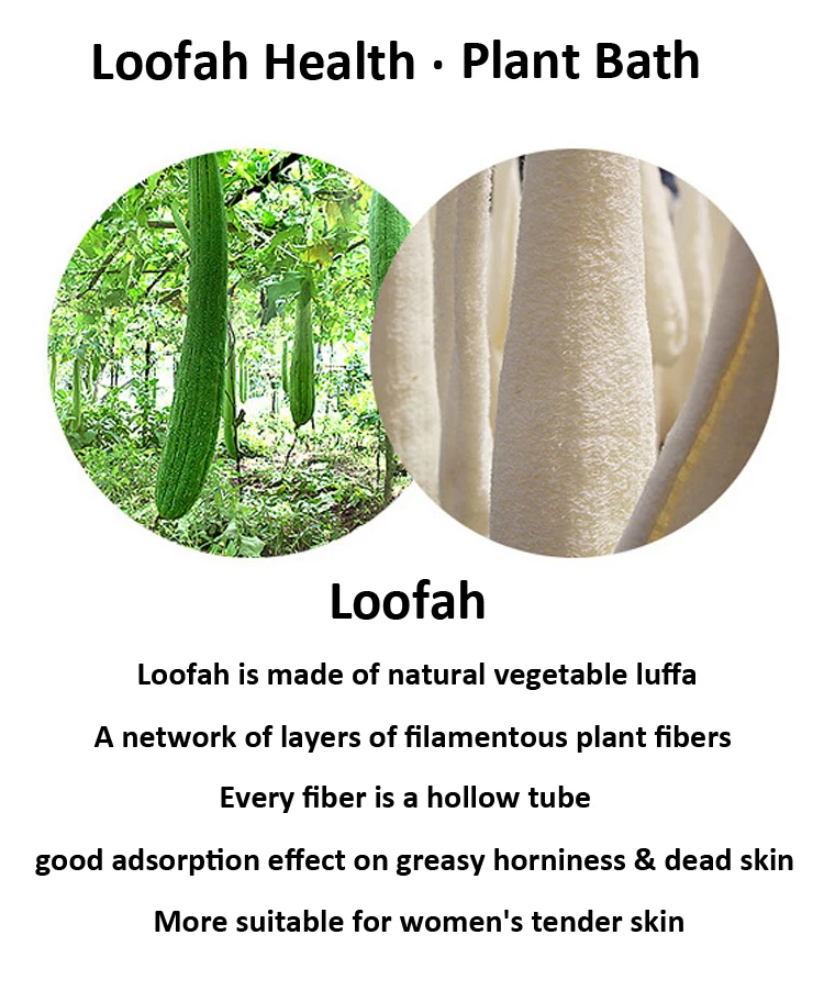 Natural Raw Loofah Luffa Pad Wholesale Shower Sponge Set Back Loofah